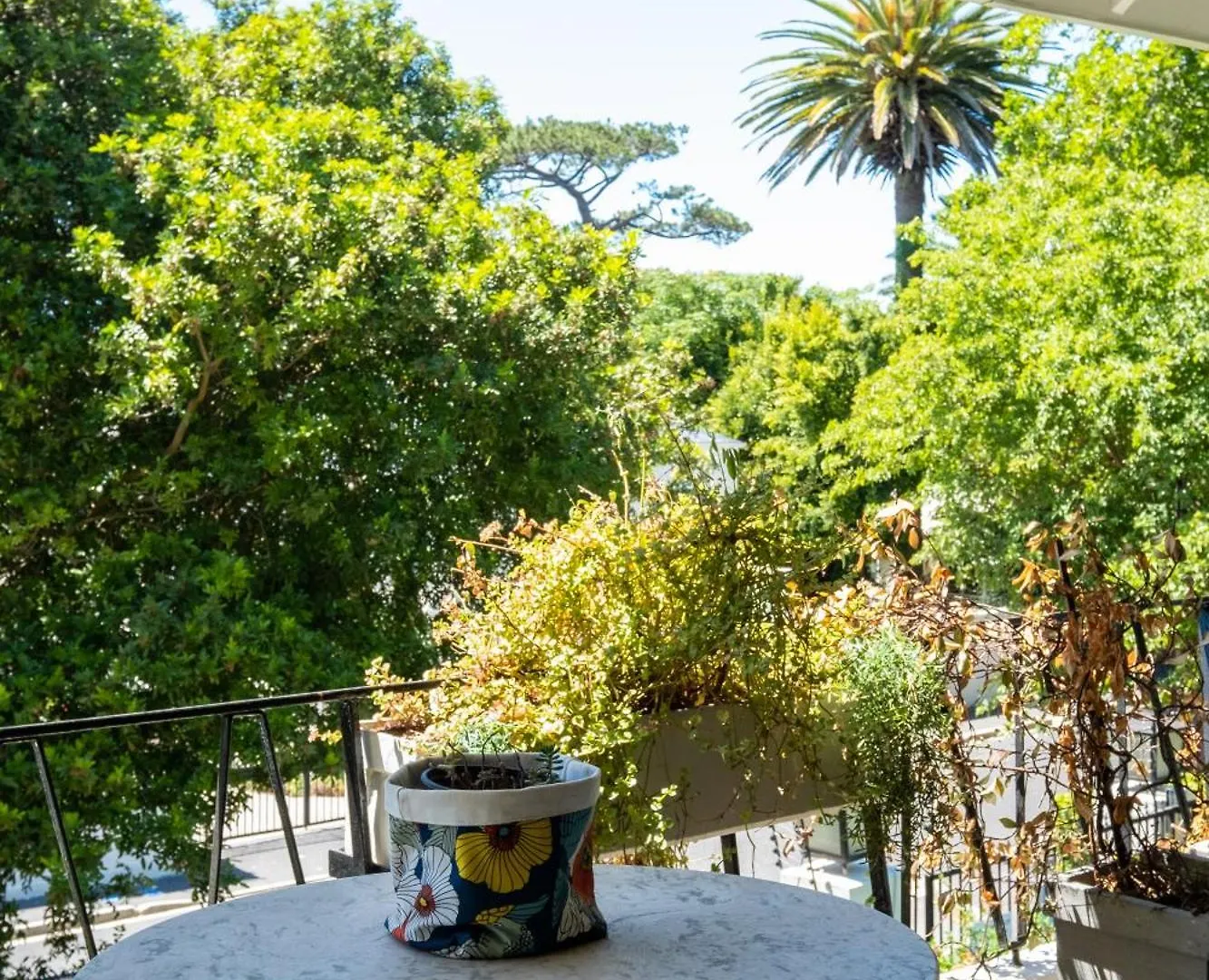 Salisbury Quiet Communal Garden Cape Town 0*,