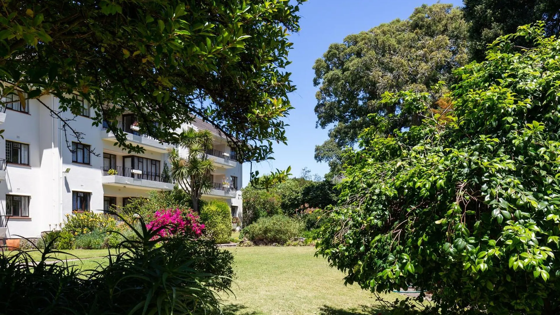 Salisbury Quiet Communal Garden Cape Town Güney Afrika