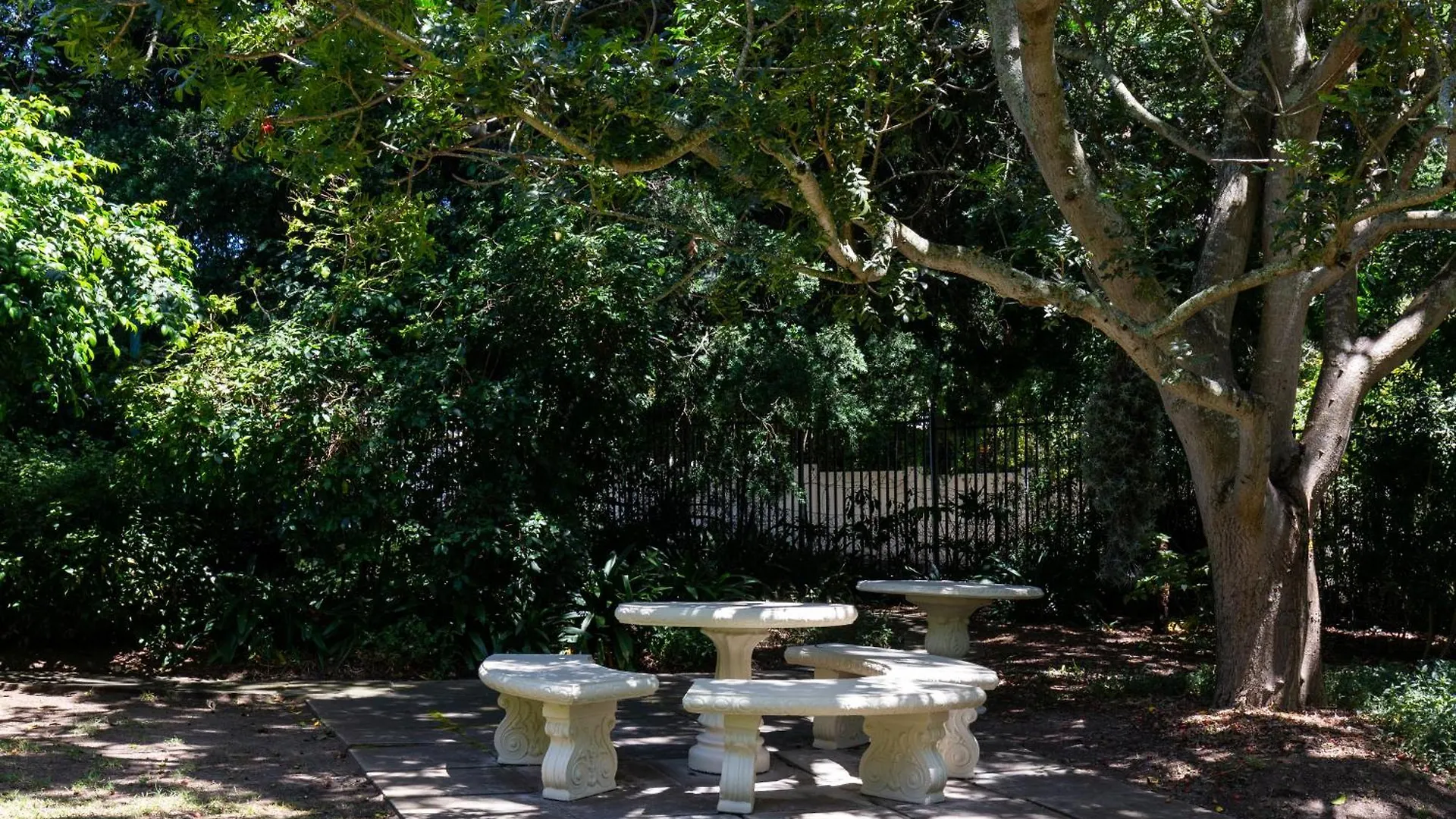 Salisbury Quiet Communal Garden Cape Town Güney Afrika