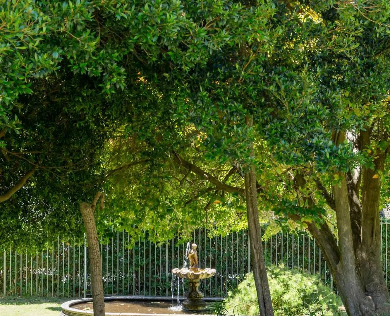 Salisbury Quiet Communal Garden Cape Town